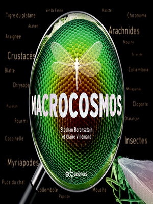 cover image of Macrocosmos